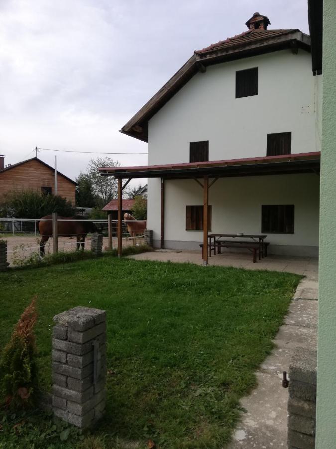 Ferienwohnung Schmied 1 Aurach am Hongar 外观 照片